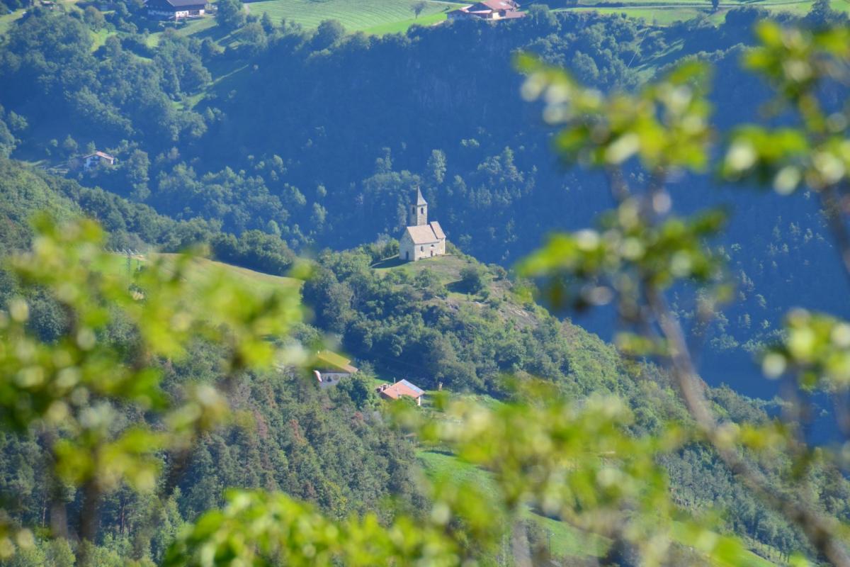 Rielingerhof 03.09.2019